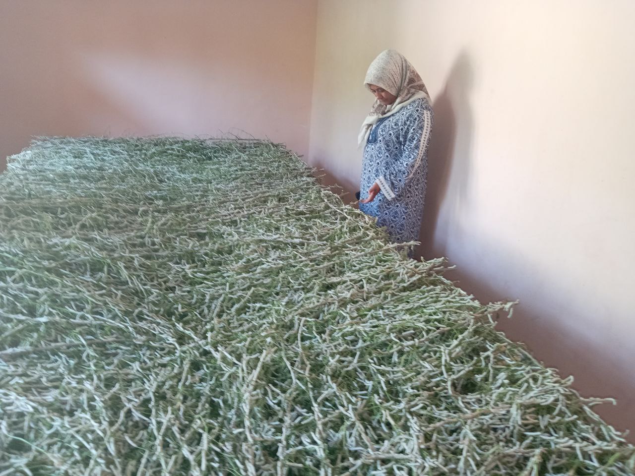 http://api3.fergana.uz/files/151400/news/file-2087998878007290.jpg