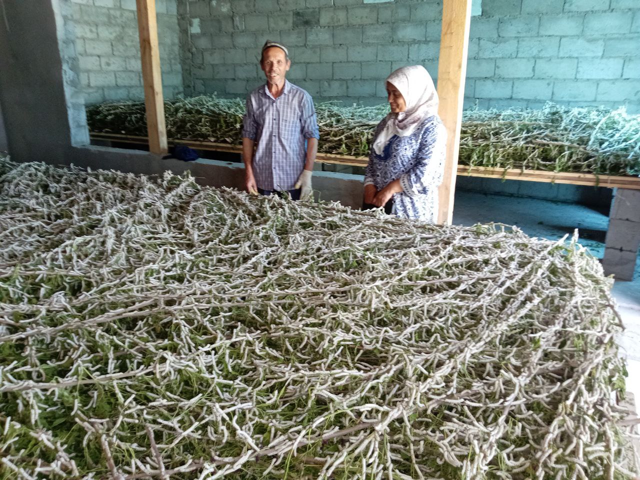 http://api3.fergana.uz/files/151400/news/file-2087998878009680.jpg