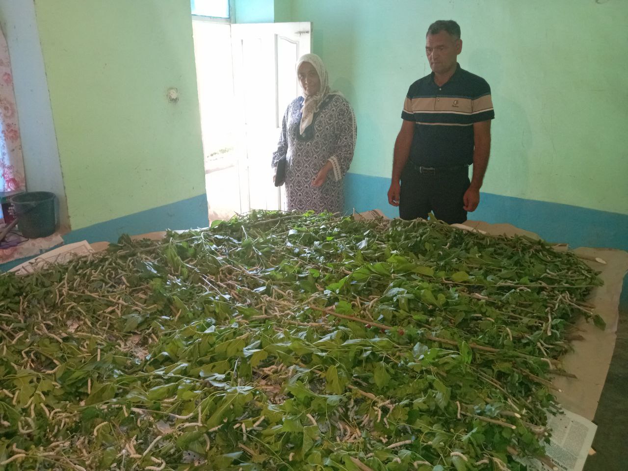 http://api3.fergana.uz/files/151400/news/file-2087998878013265.jpg