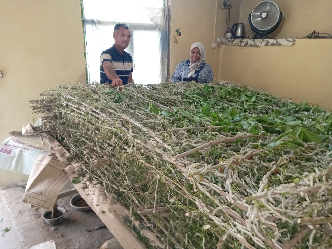 http://api3.fergana.uz/files/151400/news/file-2087998878015655.jpg
