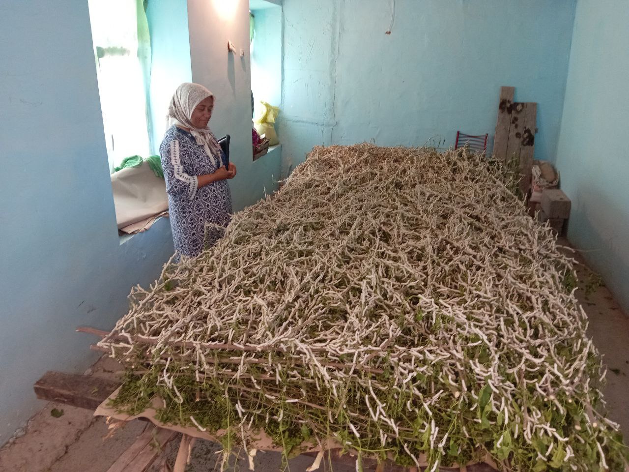http://api3.fergana.uz/files/151400/news/file-2087998878024020.jpg