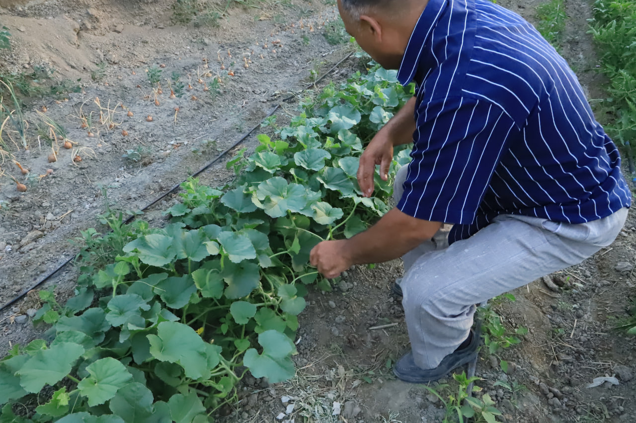 http://api3.fergana.uz/files/151400/news/file-2089182110328440.jpg