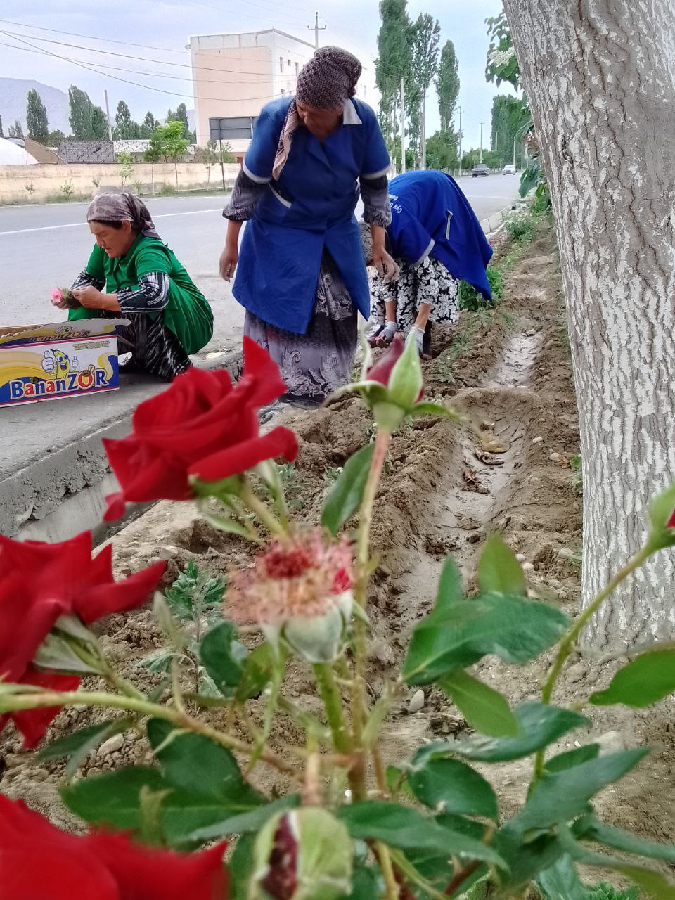 http://api3.fergana.uz/files/151400/news/file-2089282797766090.jpg