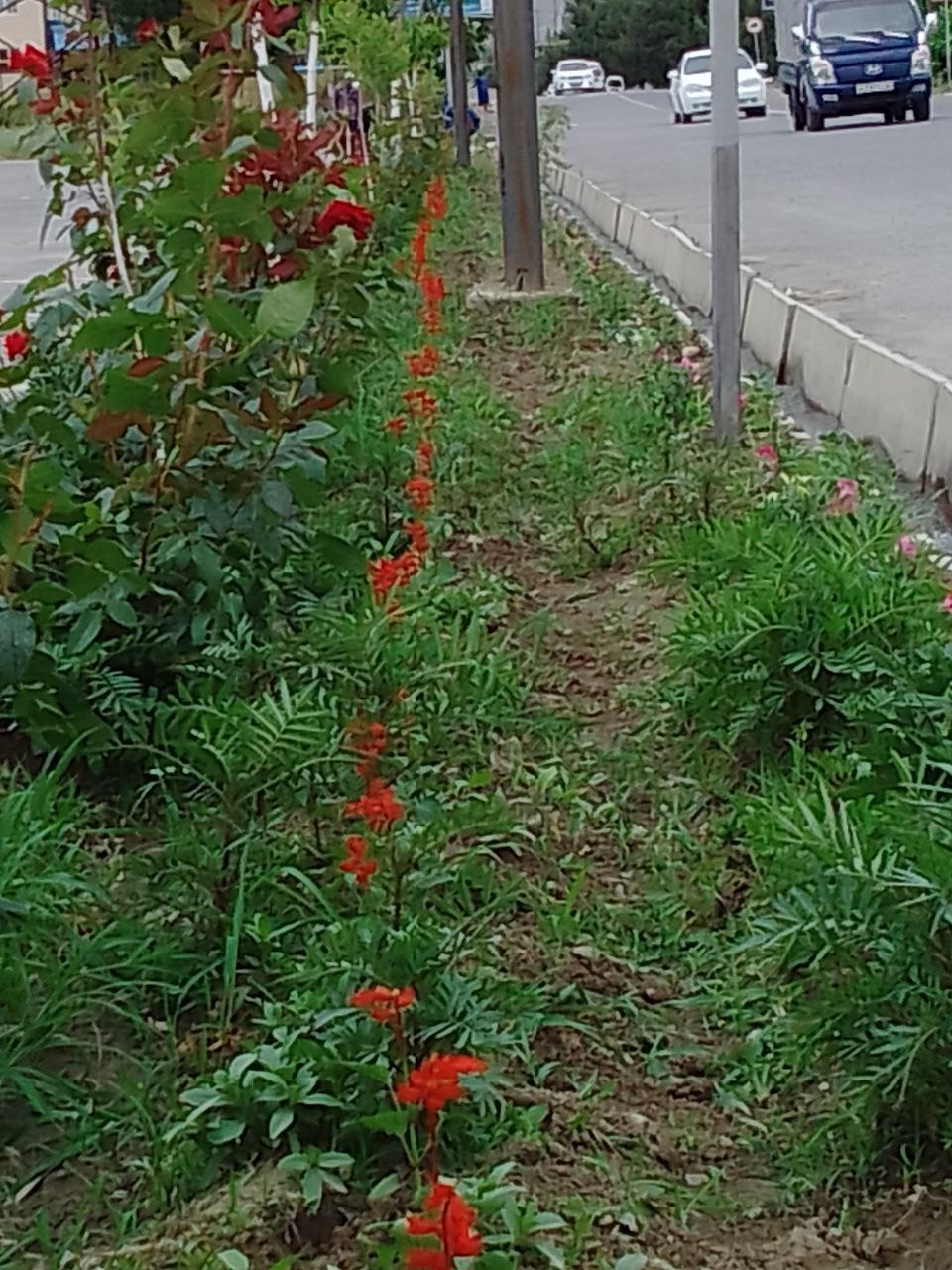 http://api3.fergana.uz/files/151400/news/file-2089282797769675.jpg