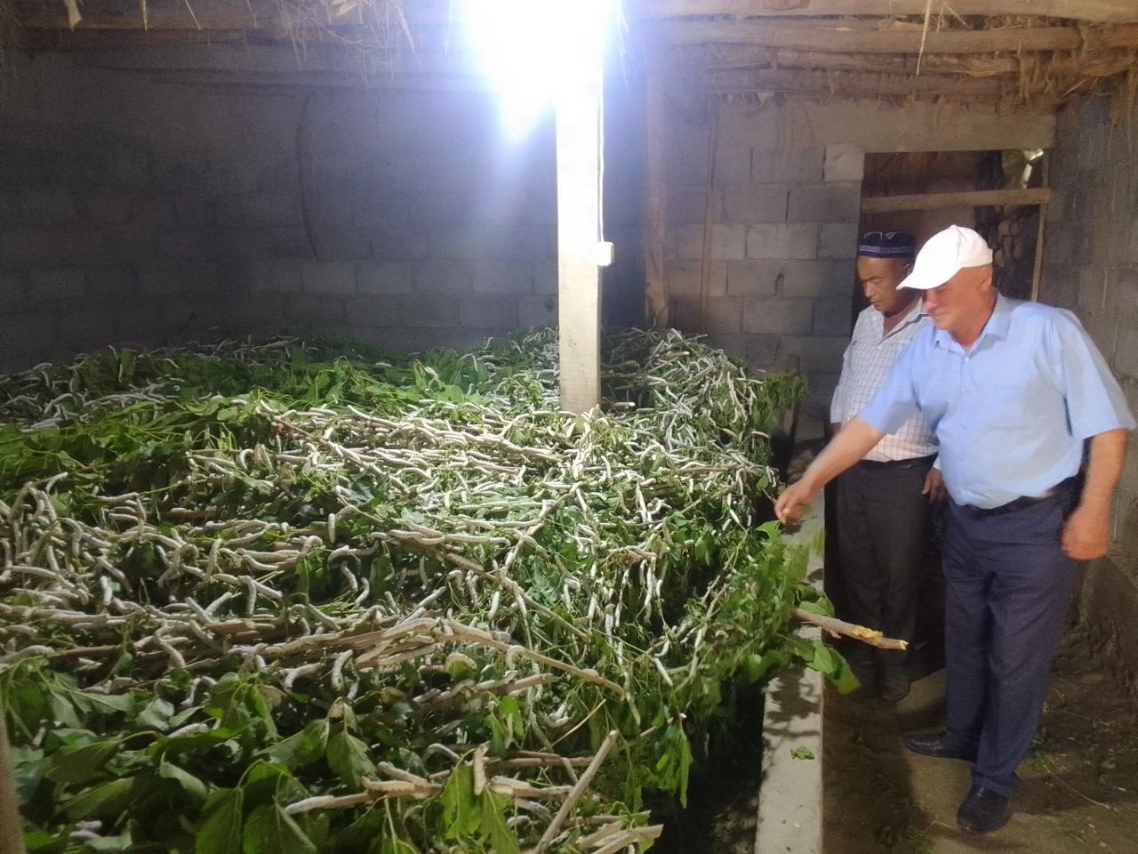 http://api3.fergana.uz/files/151400/news/file-2089383709239950.jpg