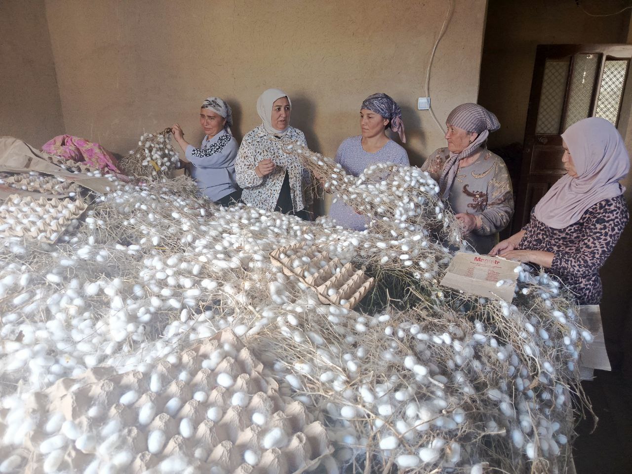 http://api3.fergana.uz/files/151400/news/file-2090838478184600.jpg