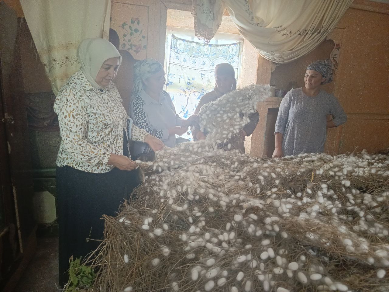 http://api3.fergana.uz/files/151400/news/file-2090838478190575.jpg