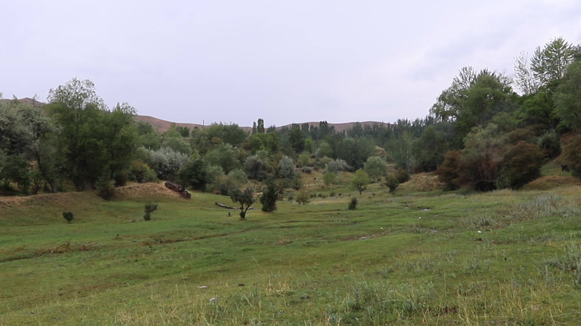 http://api3.fergana.uz/files/151400/news/file-2094024512597480.jpg