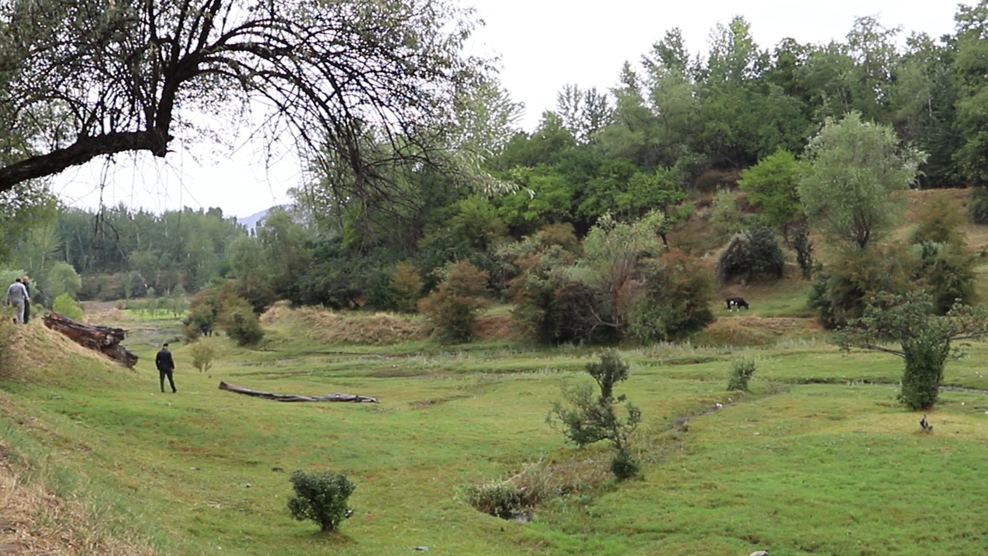 http://api3.fergana.uz/files/151400/news/file-2094024512624965.jpg