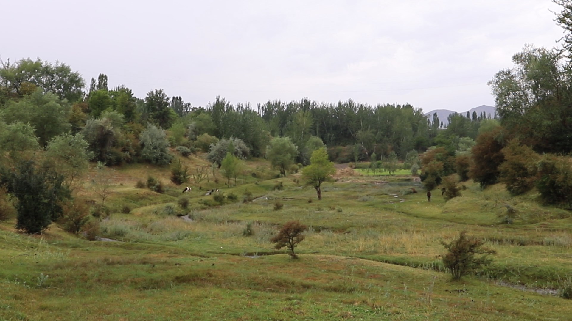 http://api3.fergana.uz/files/151400/news/file-2094024512645280.jpg