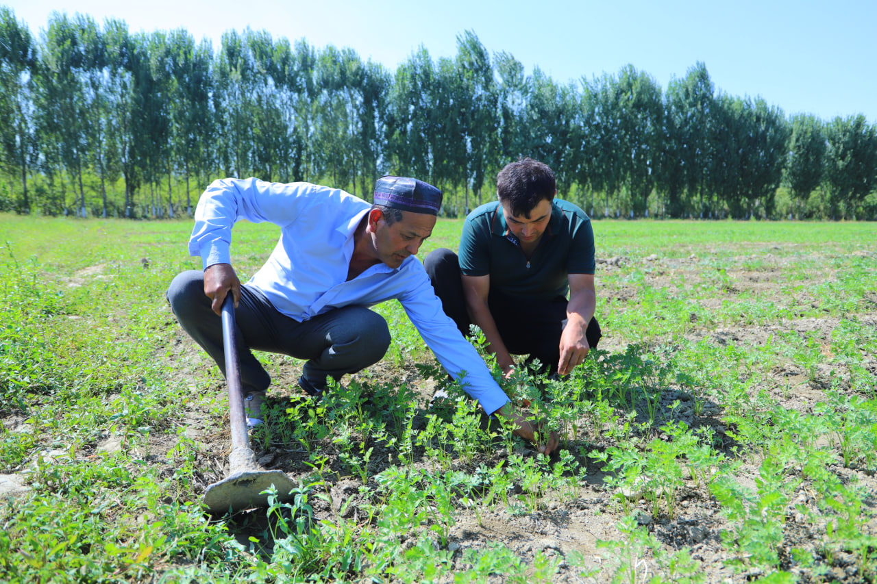 http://api3.fergana.uz/files/151400/news/file-2099079122649845.jpg