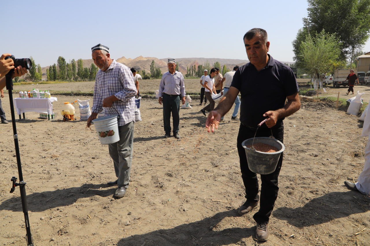 http://api3.fergana.uz/files/151400/news/file-2100531693433820.jpg