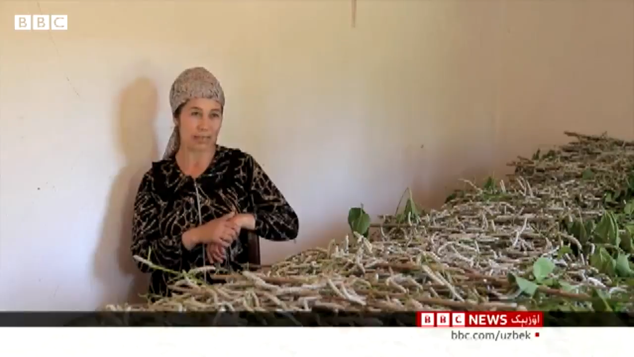 http://api3.fergana.uz/files/151500/news/file-2095956369956695.png