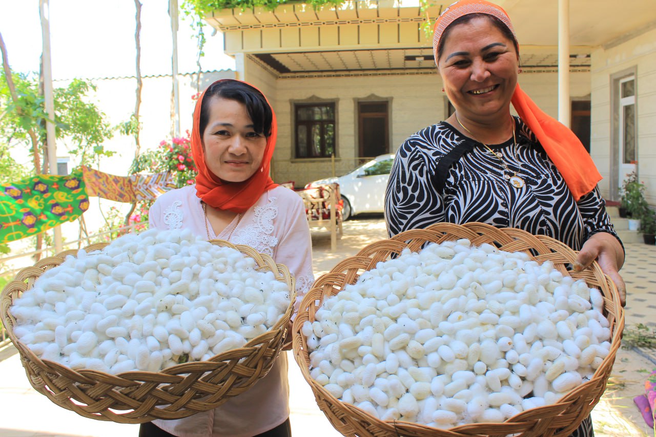 http://api3.fergana.uz/files/151800/news/file-2087748001060030.jpg