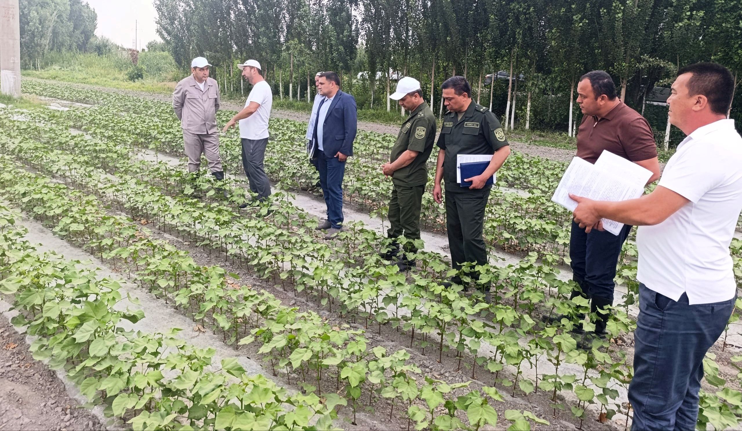 http://api3.fergana.uz/files/151800/news/file-2089610153741815.jpg