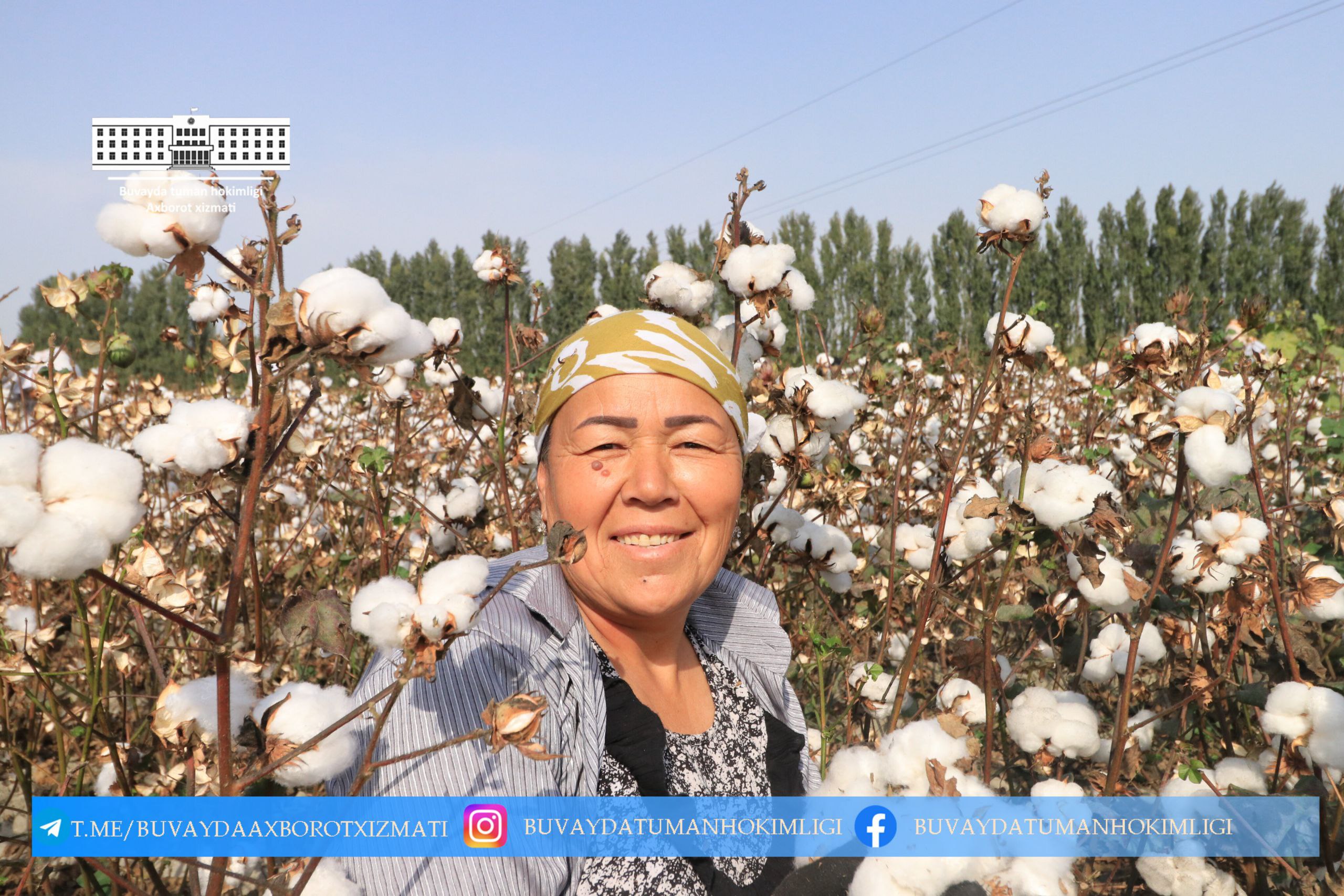http://api3.fergana.uz/files/151900/news/file-2101441759123985.jpg