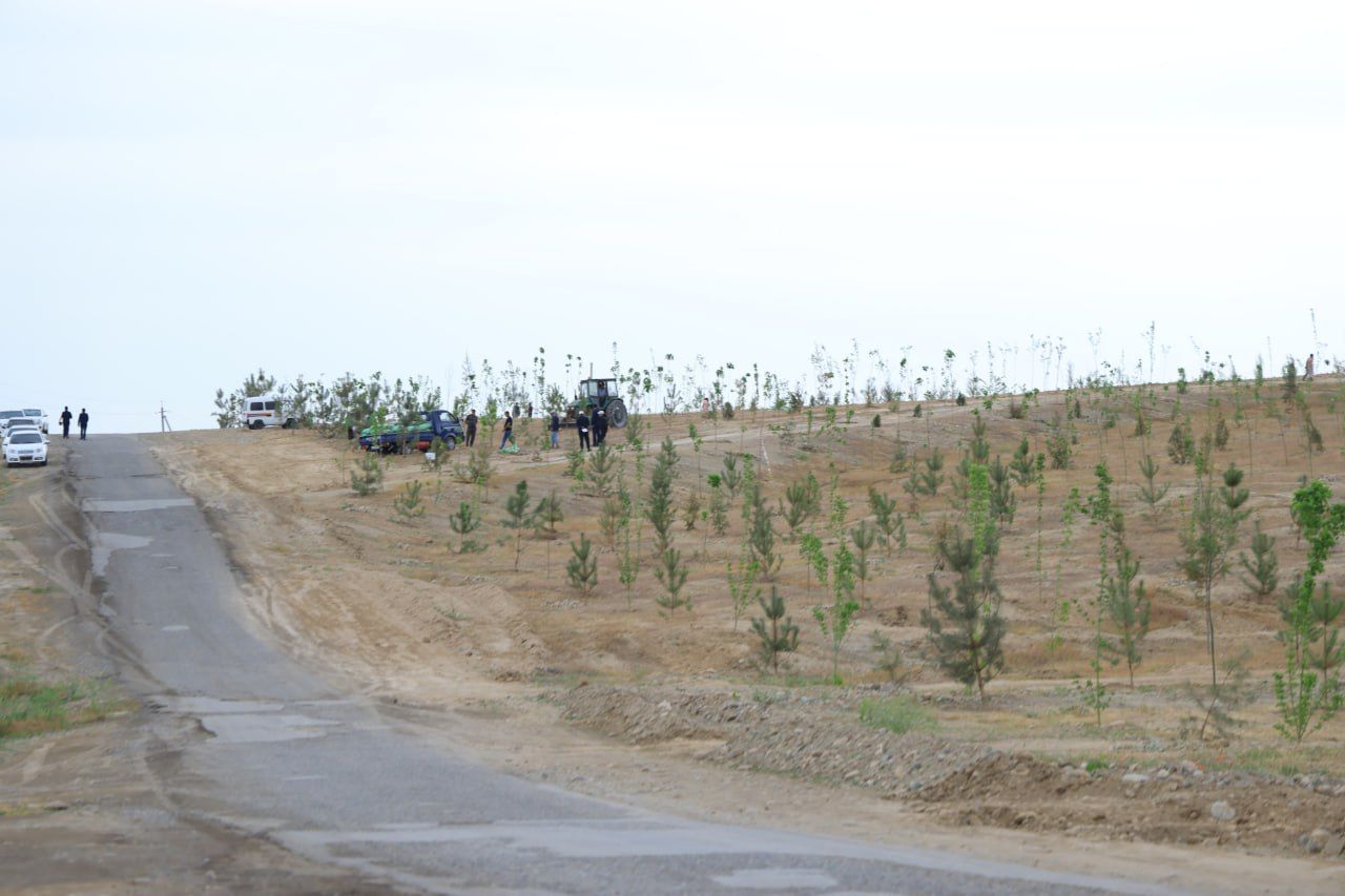 https://api3.fergana.uz/files/150000/news/news_1746190066775.jpg