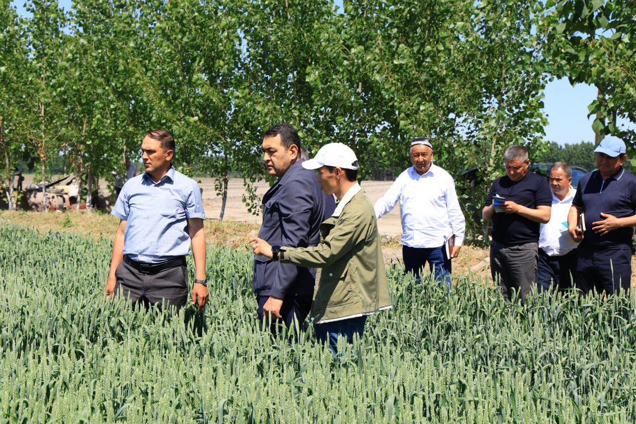 https://api3.fergana.uz/files/150000/news/news_1746259502434.jpg