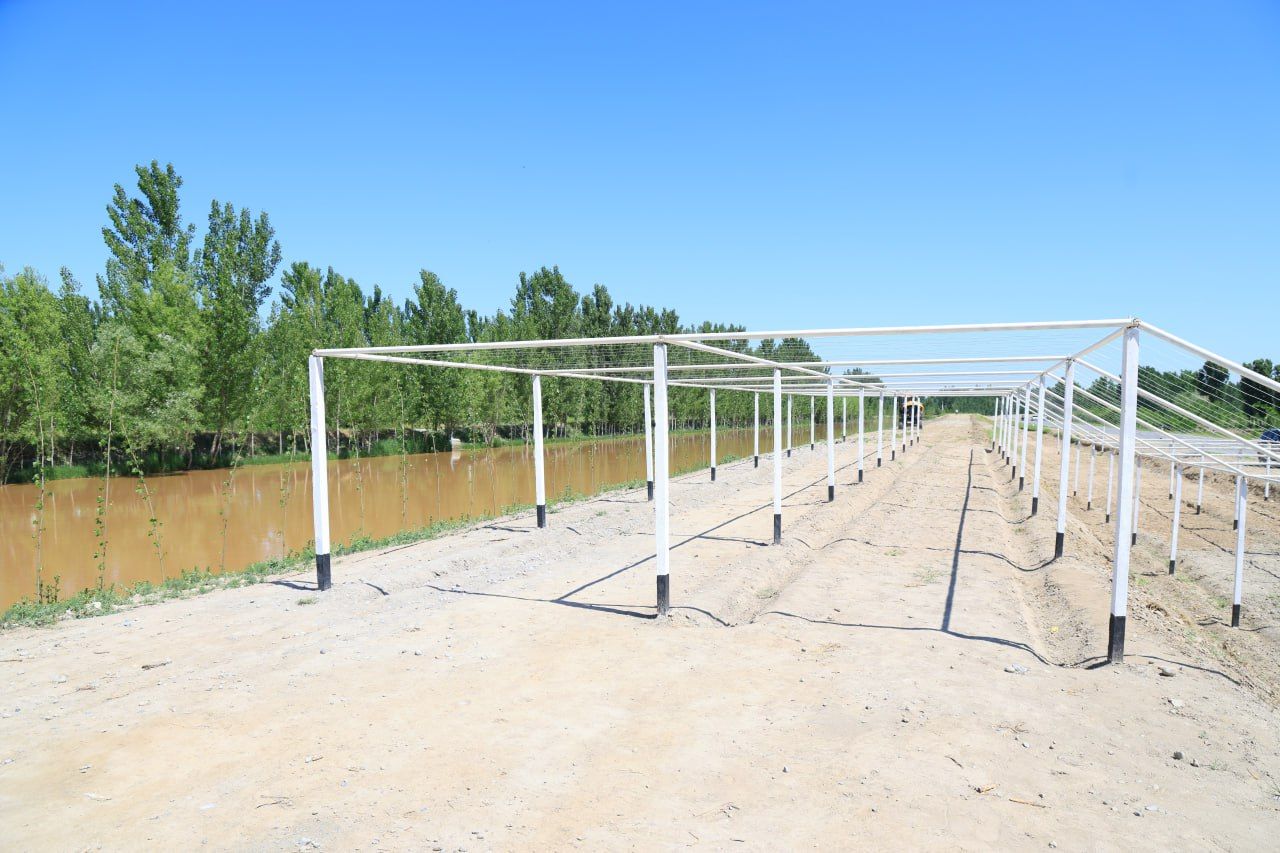 https://api3.fergana.uz/files/150000/news/news_1746263390328.jpg