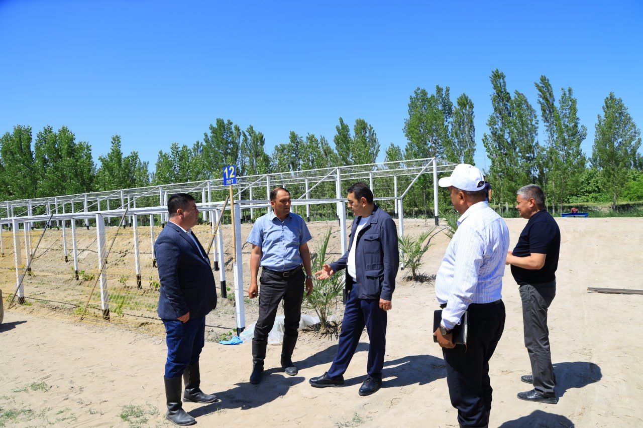 https://api3.fergana.uz/files/150000/news/news_1746263393422.jpg