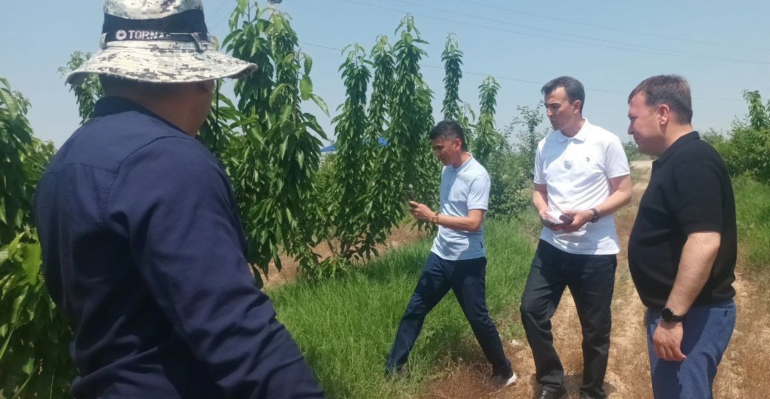 https://api3.fergana.uz/files/150000/news/news_1747047966634.jpg