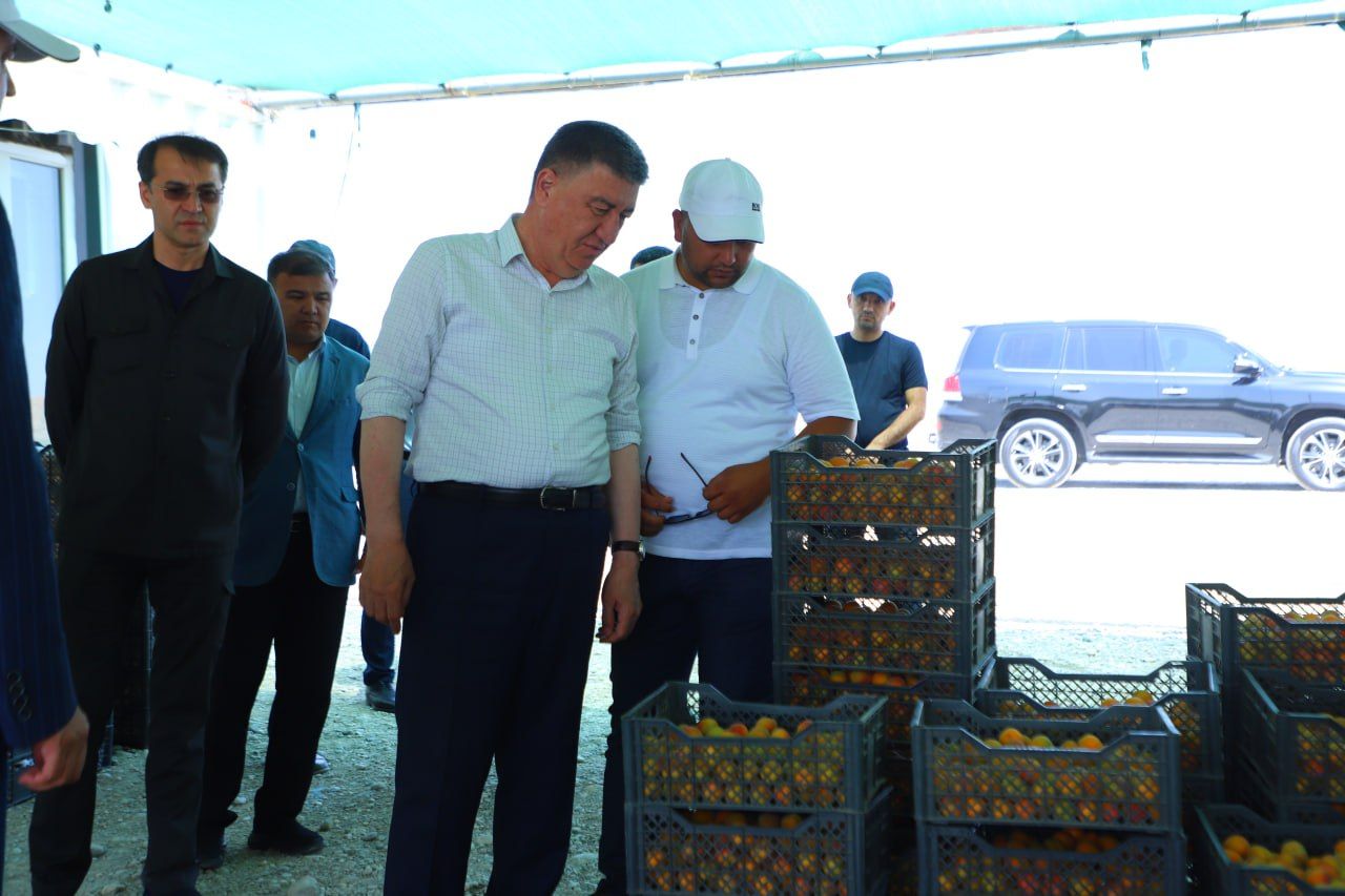 https://api3.fergana.uz/files/150000/news/news_1747834232093.jpg