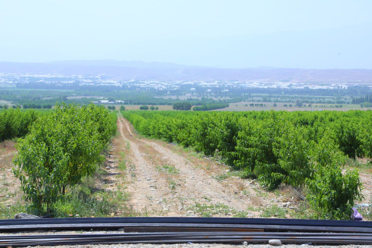 https://api3.fergana.uz/files/150000/news/news_1747834240183.jpg