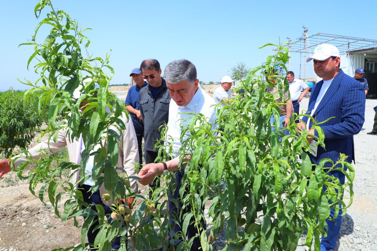 https://api3.fergana.uz/files/150000/news/news_1747834243177.jpg