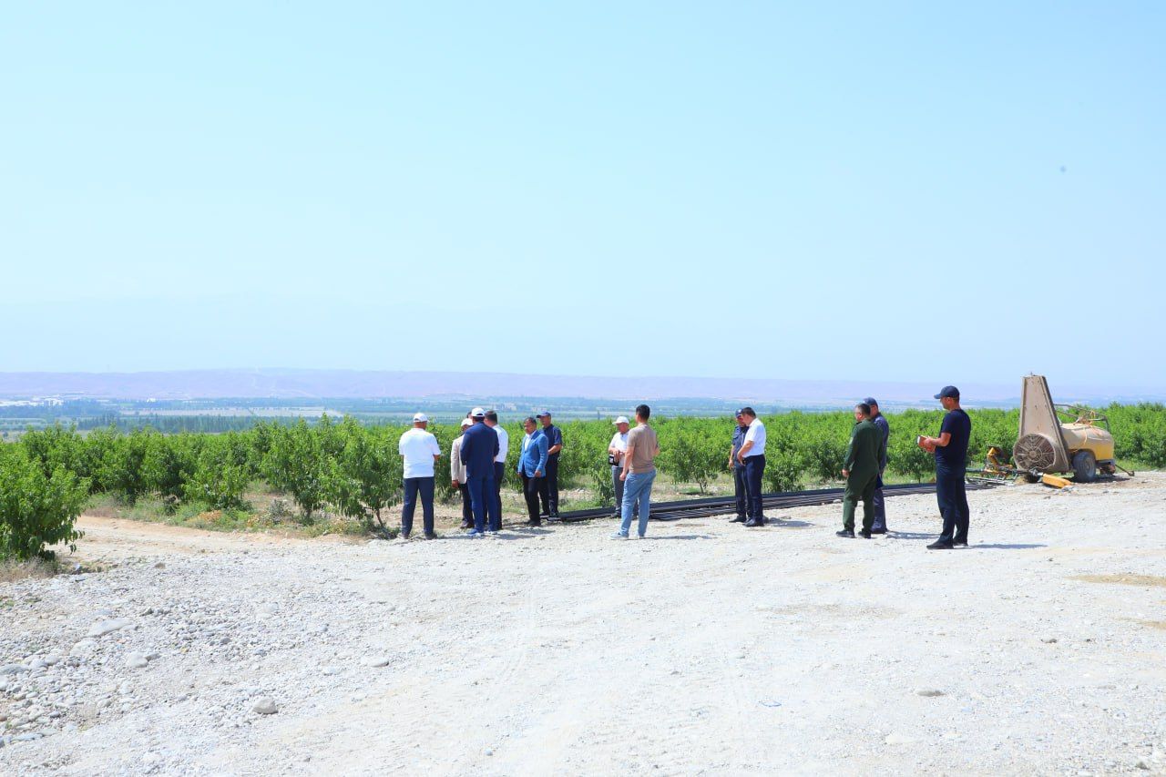 https://api3.fergana.uz/files/150000/news/news_1747834246074.jpg