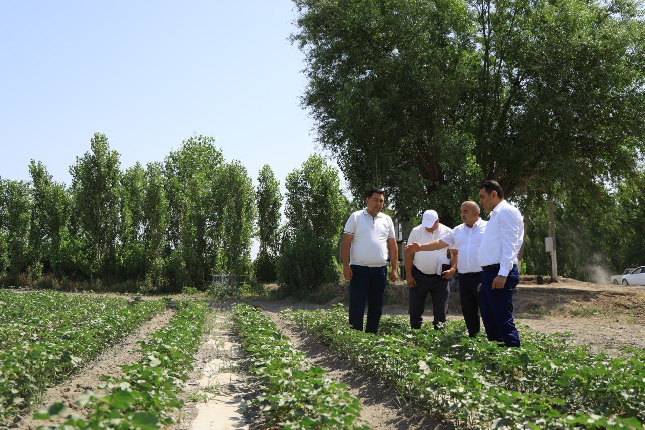 https://api3.fergana.uz/files/150000/news/news_1748078123888.jpg