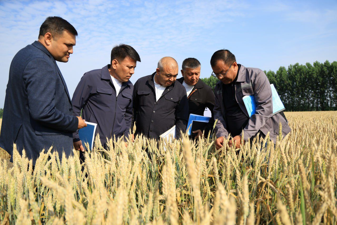 https://api3.fergana.uz/files/150000/news/news_1748771622136.jpg