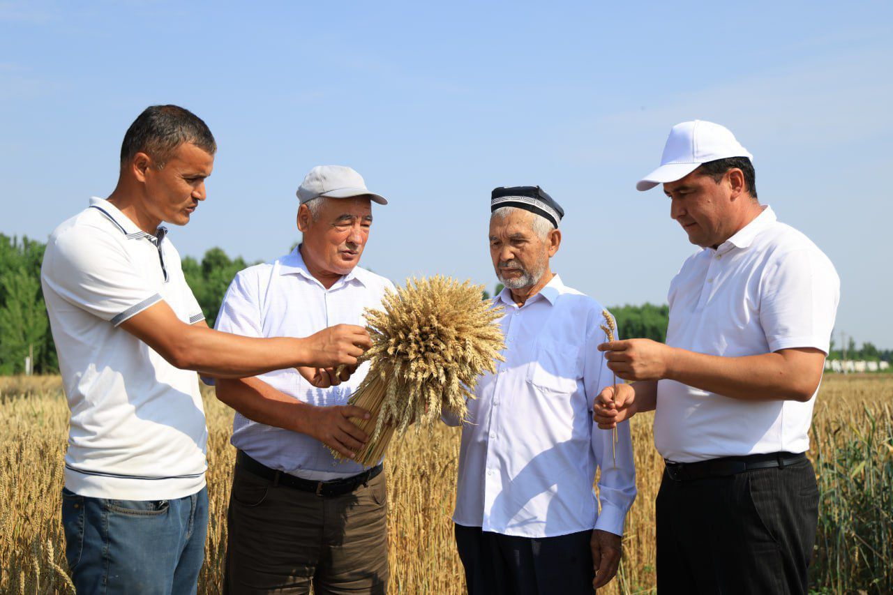 https://api3.fergana.uz/files/150000/news/news_1748771639696.jpg