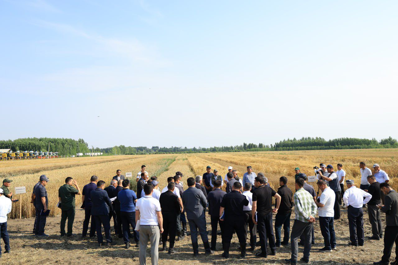 https://api3.fergana.uz/files/150000/news/news_1748771652400.jpg