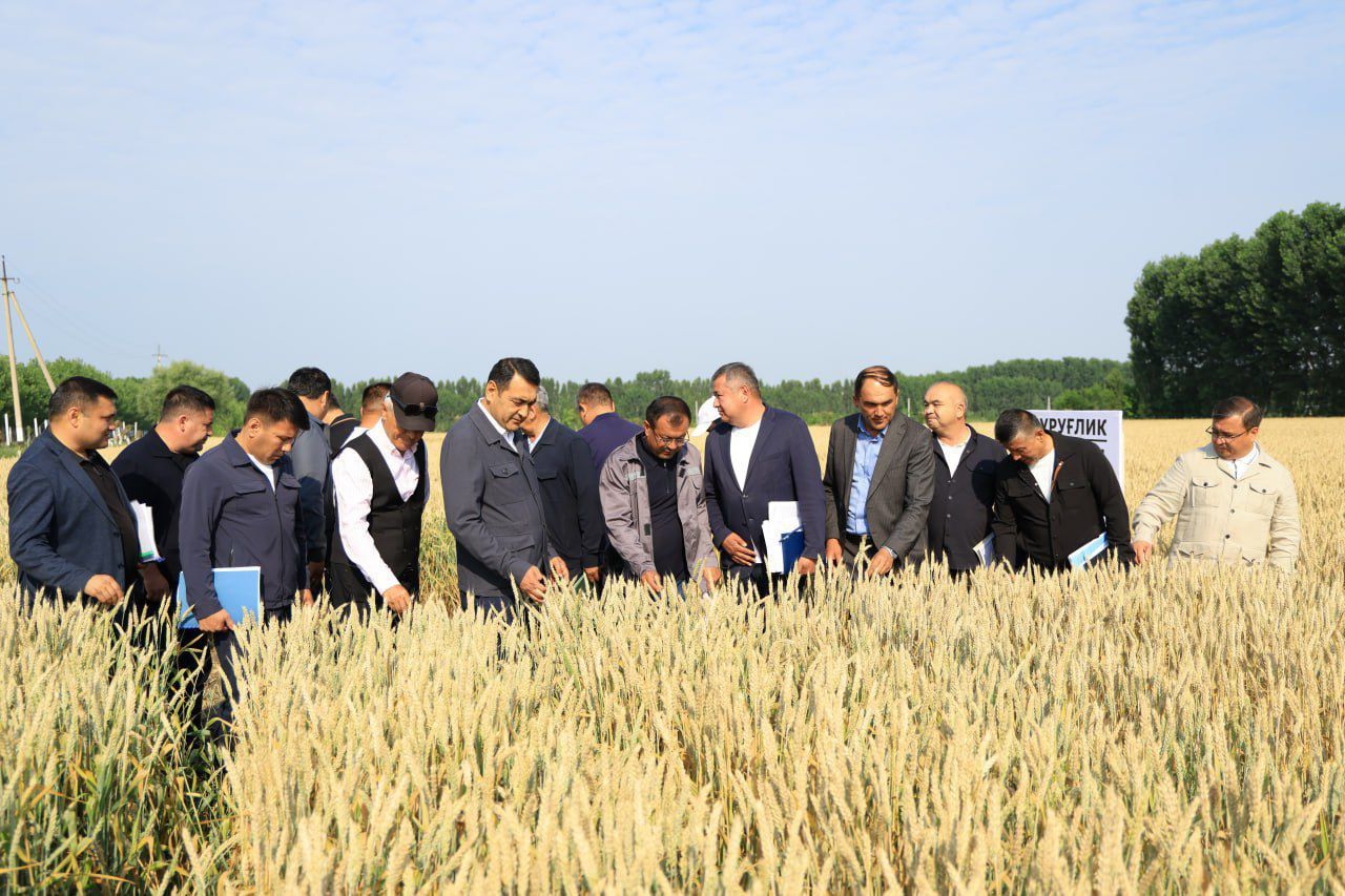 https://api3.fergana.uz/files/150000/news/news_1748771662959.jpg