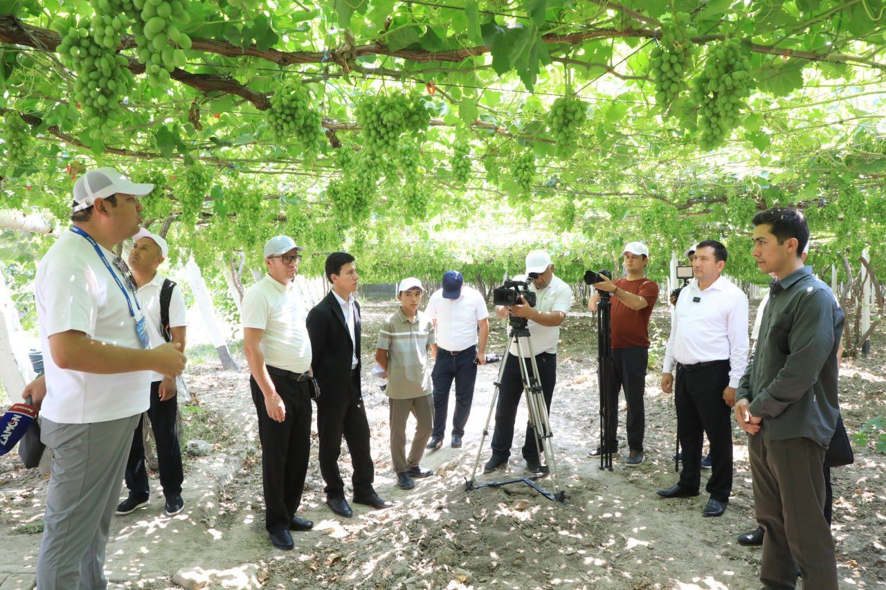 https://api3.fergana.uz/files/150000/news/news_1750224763726.jpg