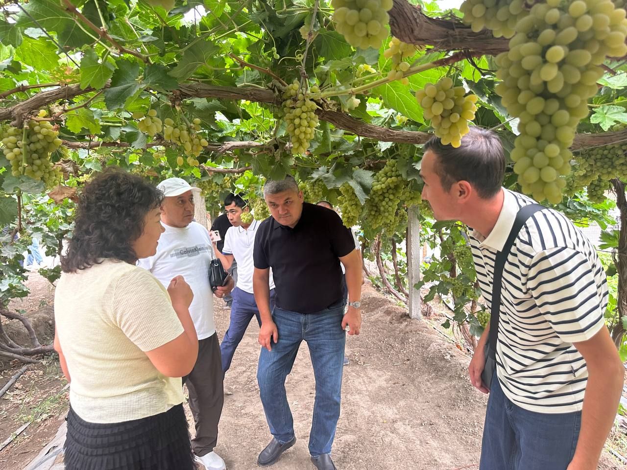 https://api3.fergana.uz/files/150000/news/news_1755325652825.jpg