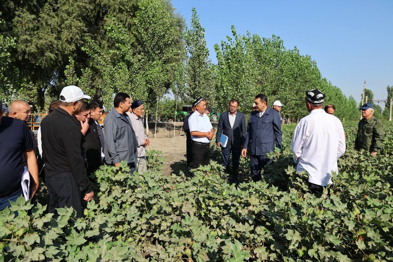 https://api3.fergana.uz/files/150000/news/news_1755864307551.jpg