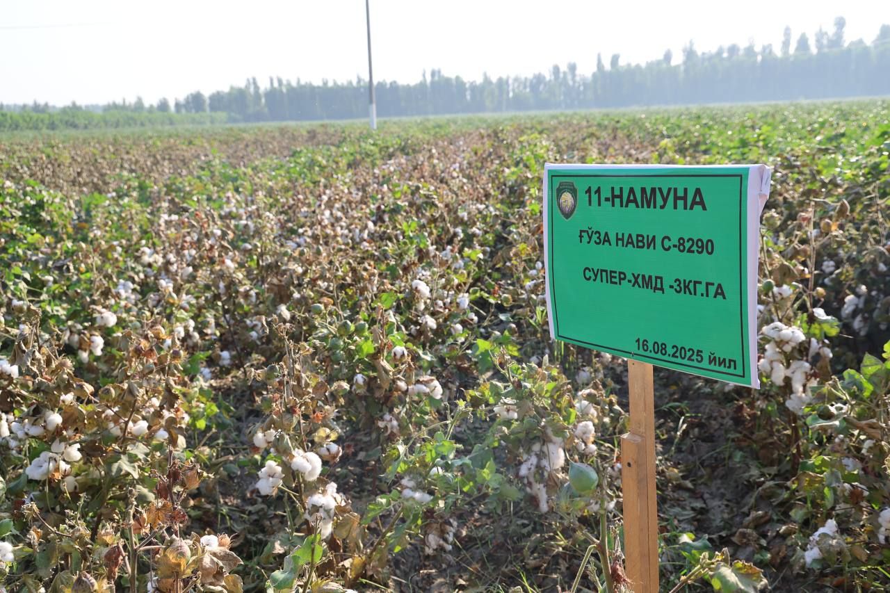 https://api3.fergana.uz/files/150000/news/news_1755864317055.jpg
