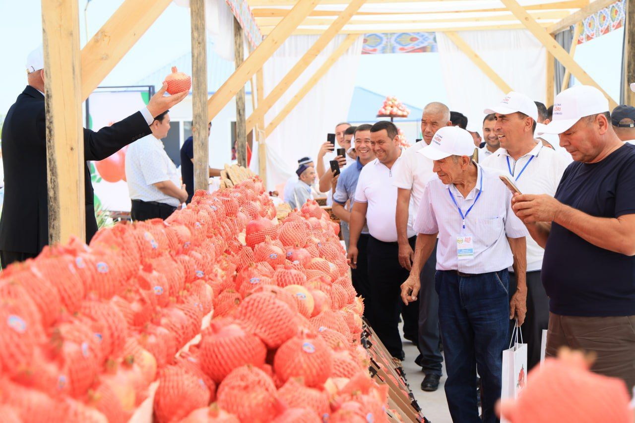 https://api3.fergana.uz/files/150000/news/news_1756293574074.jpg