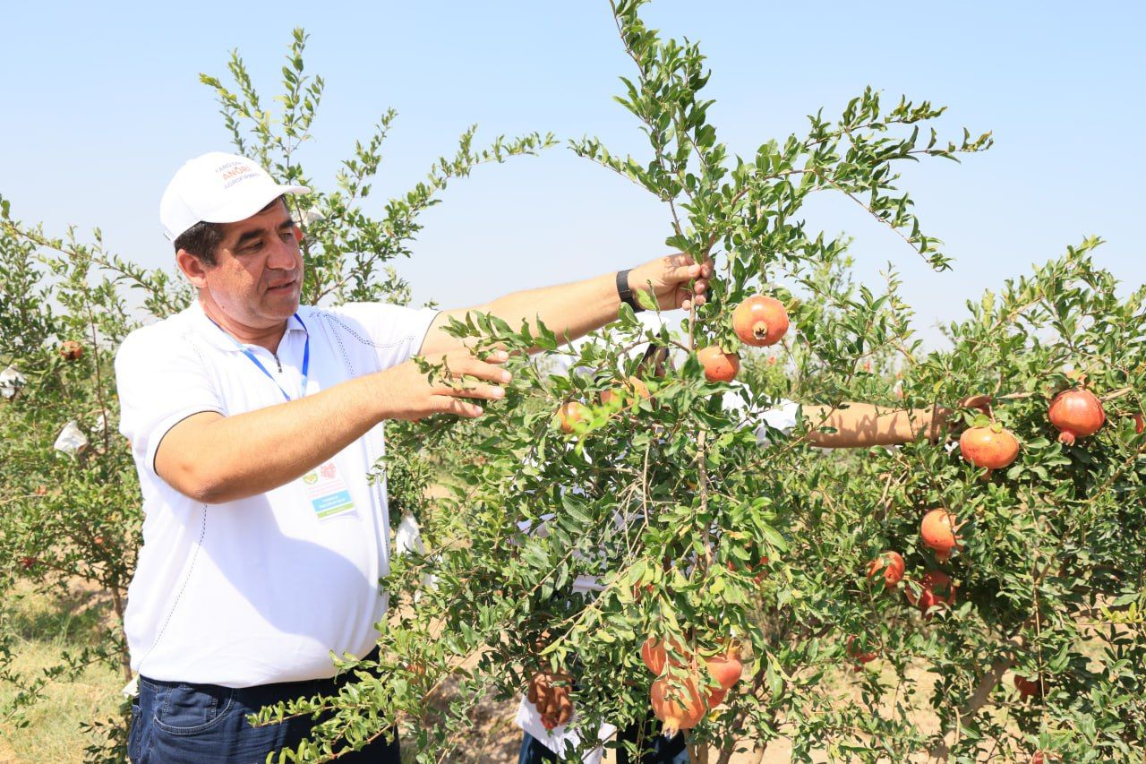 https://api3.fergana.uz/files/150000/news/news_1756293577935.jpg