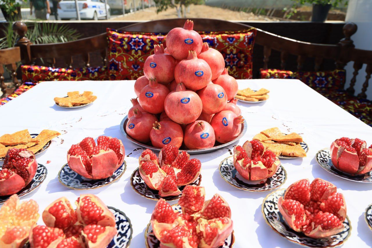 https://api3.fergana.uz/files/150000/news/news_1756293580890.jpg