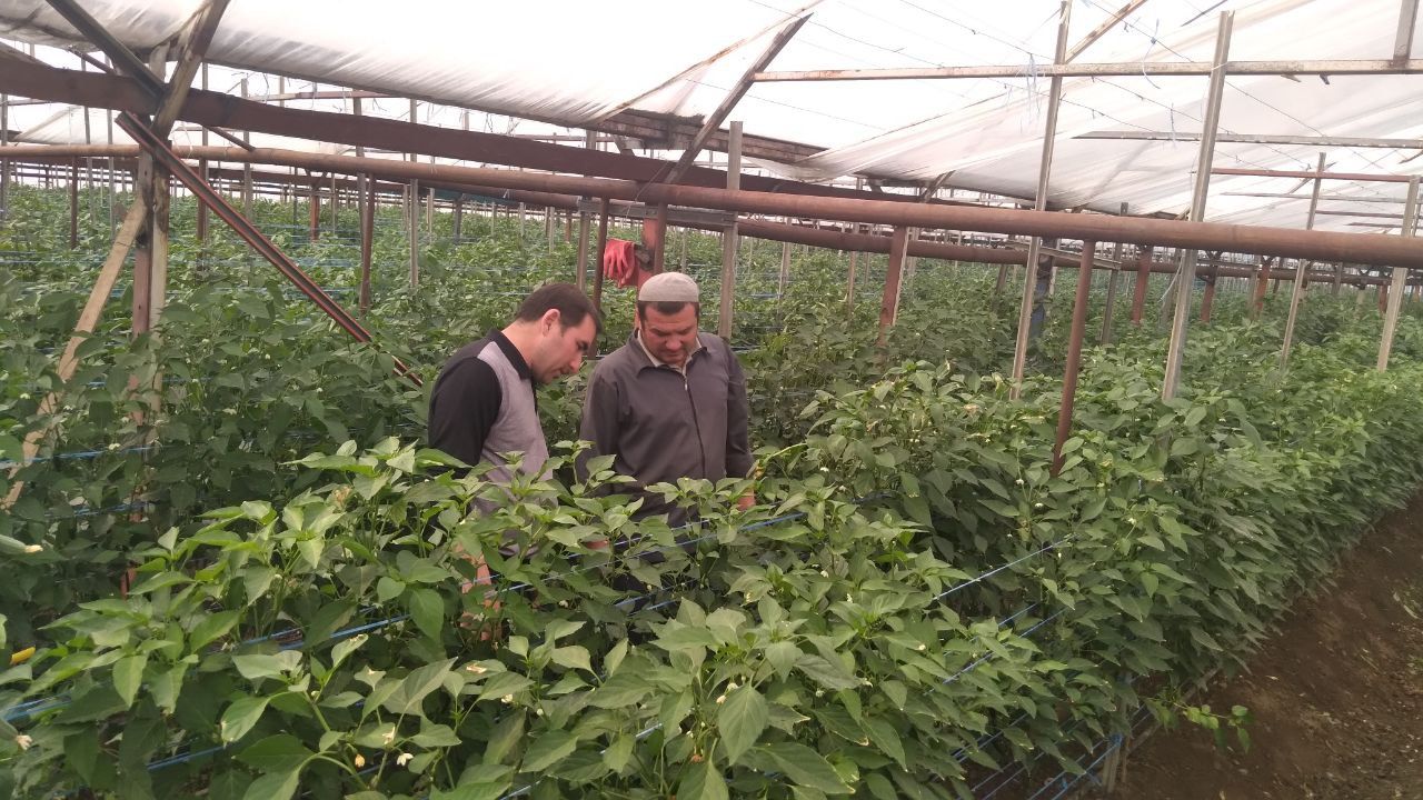 https://api3.fergana.uz/files/150400/news/news_1742664495494.jpg