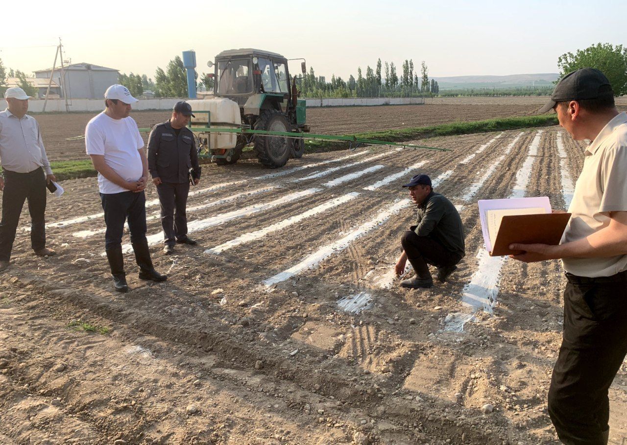https://api3.fergana.uz/files/150400/news/news_1744656069937.jpg