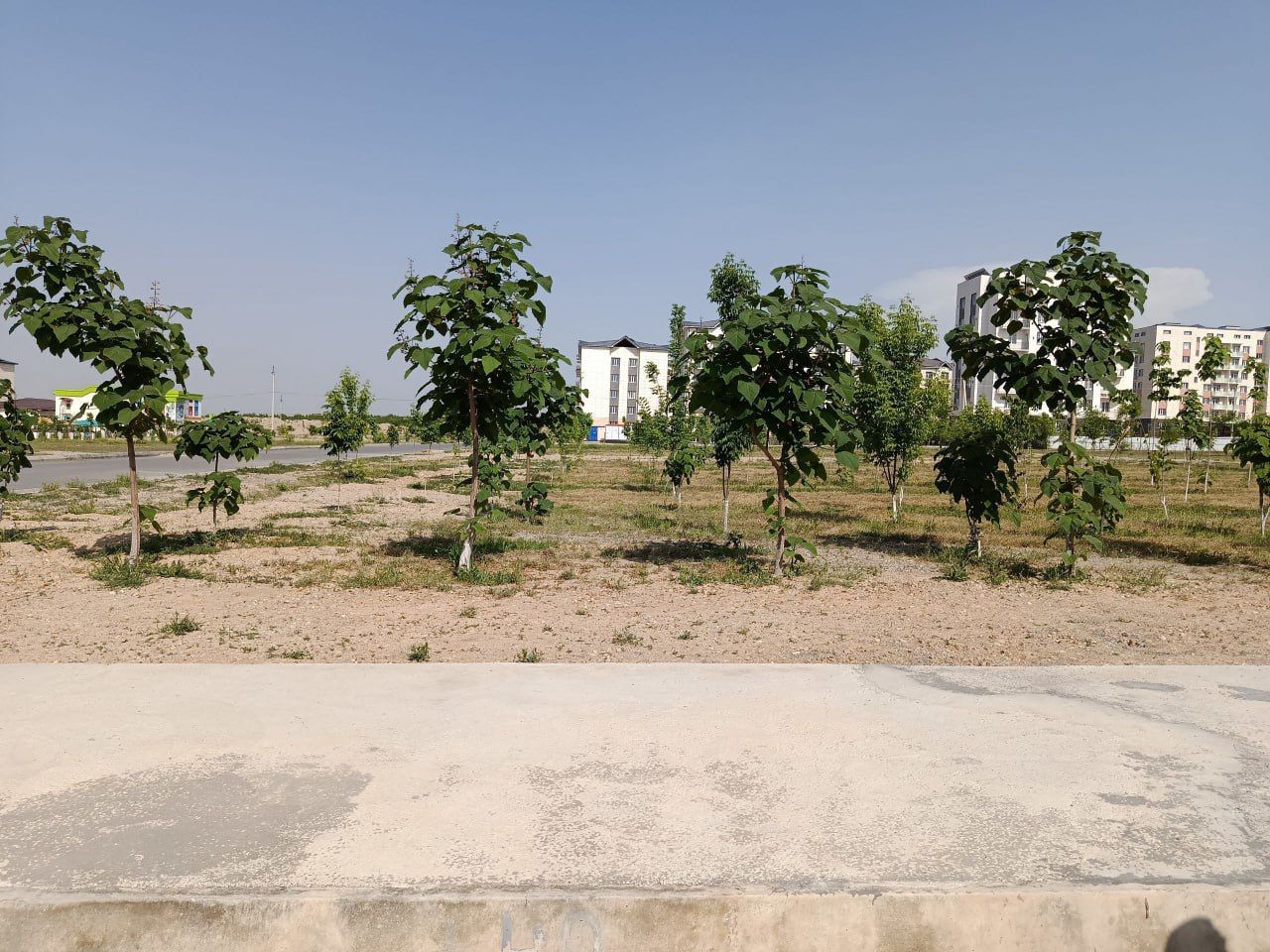 https://api3.fergana.uz/files/150400/news/news_1747738702737.jpg