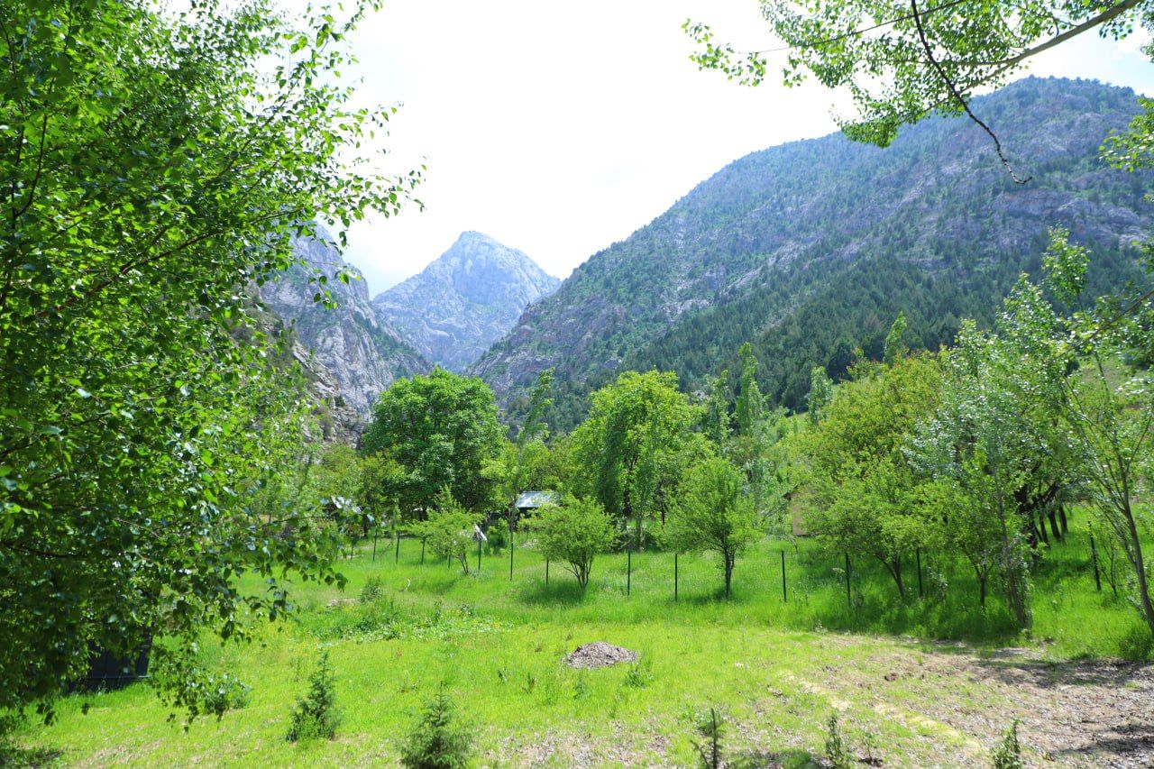 https://api3.fergana.uz/files/150400/news/news_1749738599400.jpg
