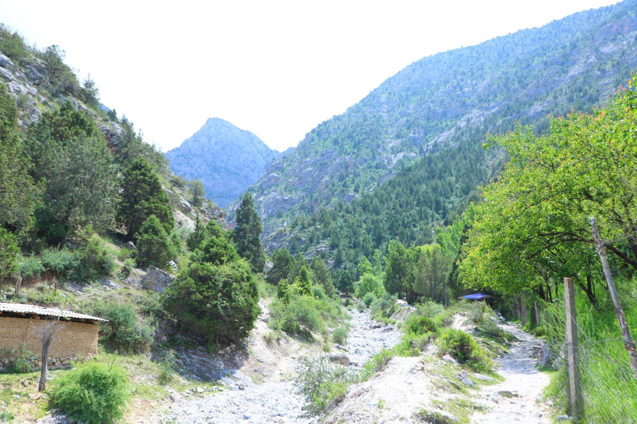 https://api3.fergana.uz/files/150400/news/news_1749738599427.jpg