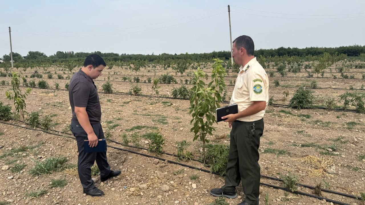 https://api3.fergana.uz/files/150400/news/news_1752506752585.jpg