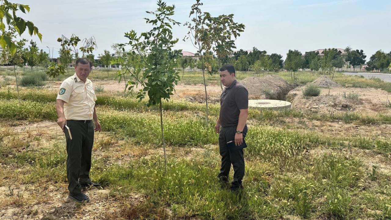 https://api3.fergana.uz/files/150400/news/news_1752506752602.jpg