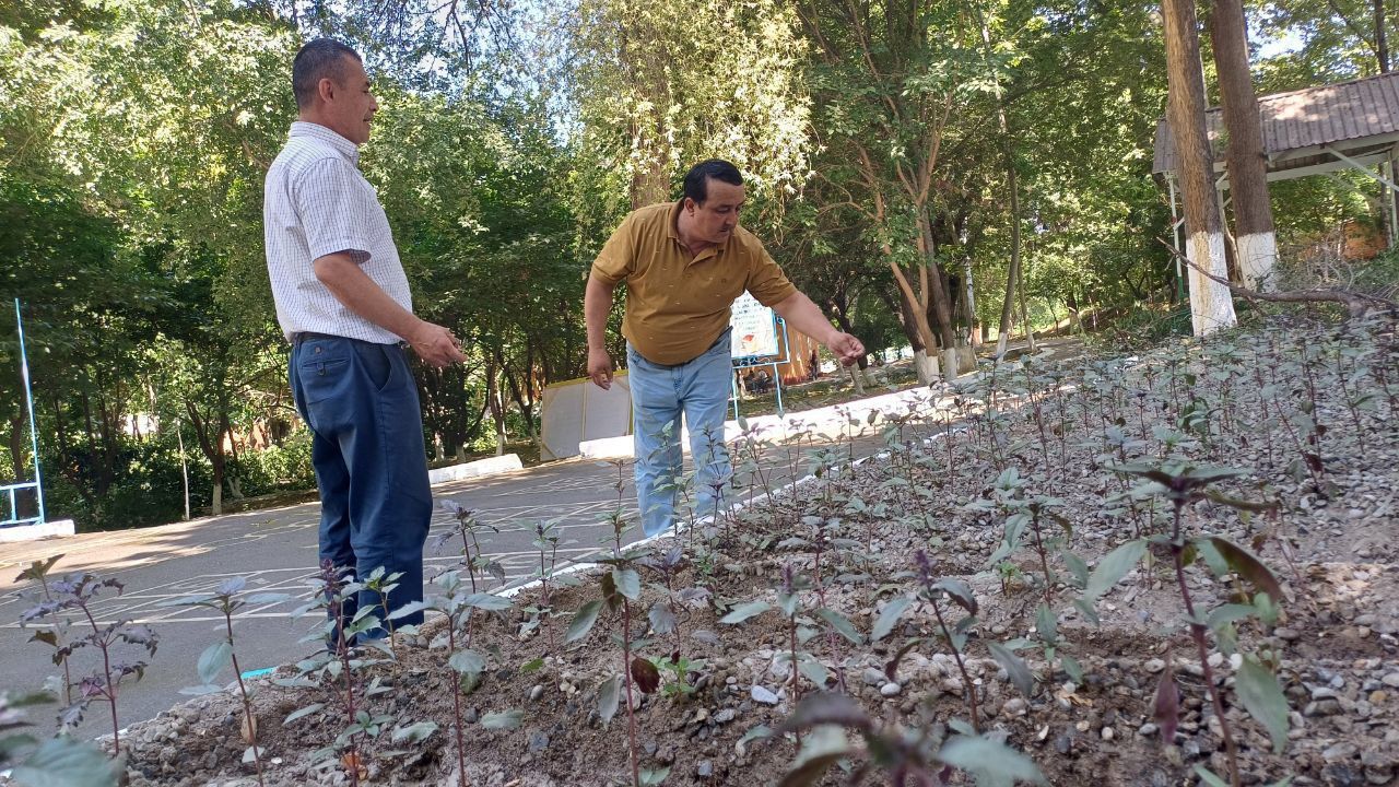 https://api3.fergana.uz/files/151200/news/news_1747217374814.jpg