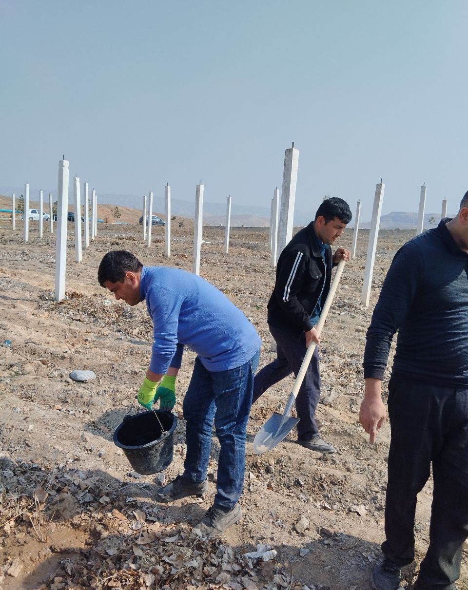 https://api3.fergana.uz/files/151400/news/news_1742210887744.jpg